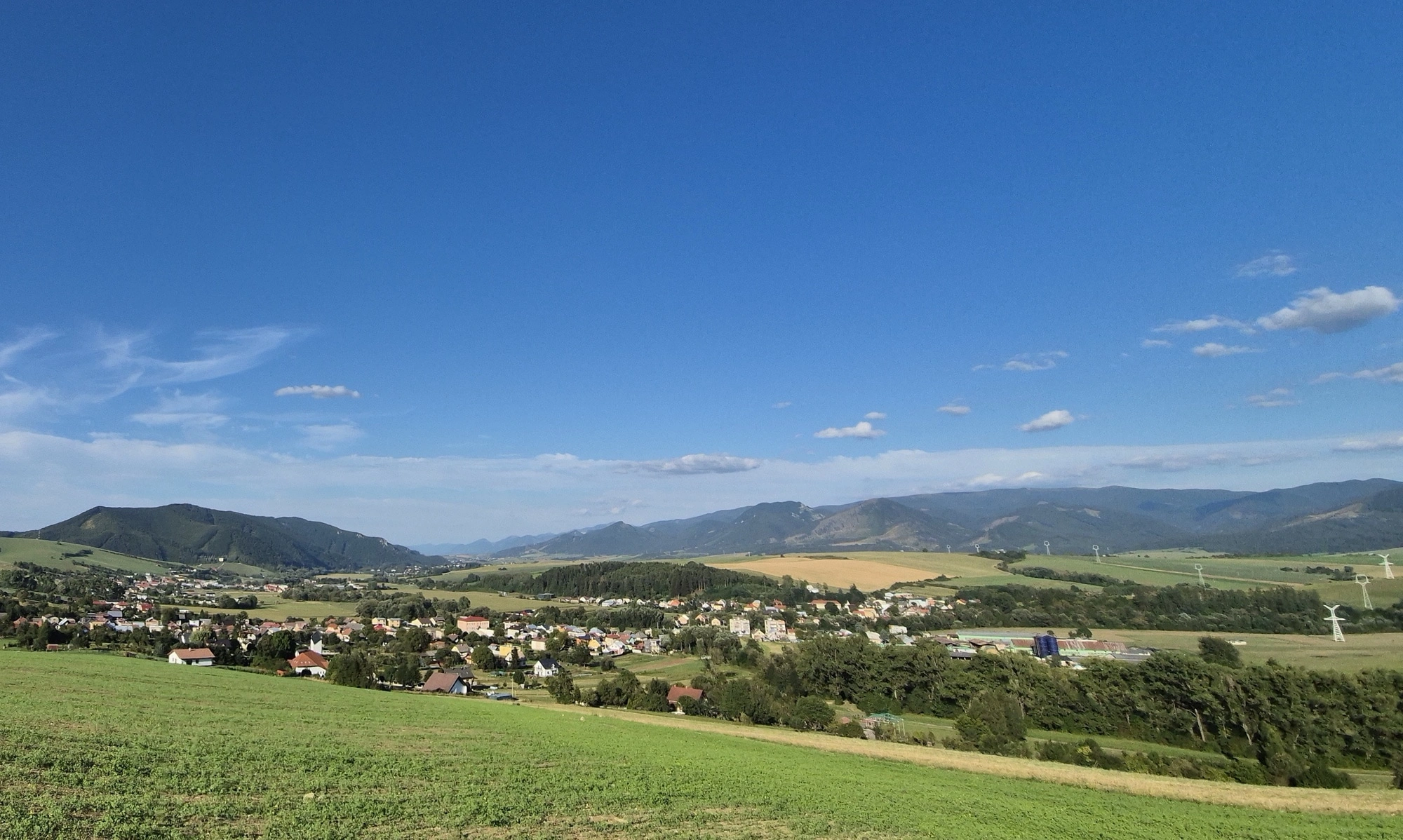 Jasenové